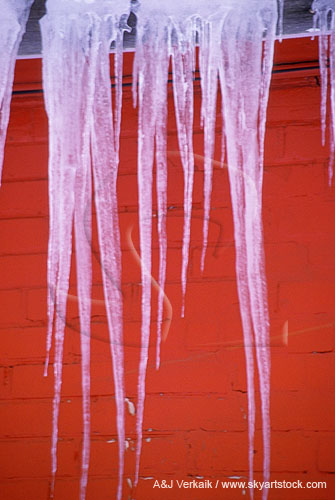 Formation of long icicles which dangle from the eaves of a building 
