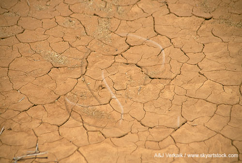 A pattern of cracked earth caused by drought
