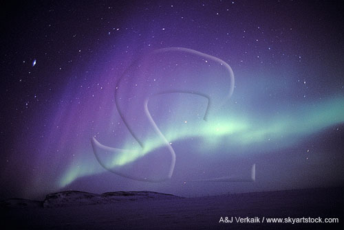 Purple and green northern lights under an arctic starry sky