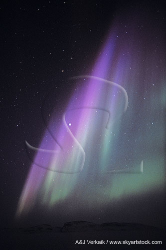 Brilliant purple and green northern lights (Aurora Borealis)