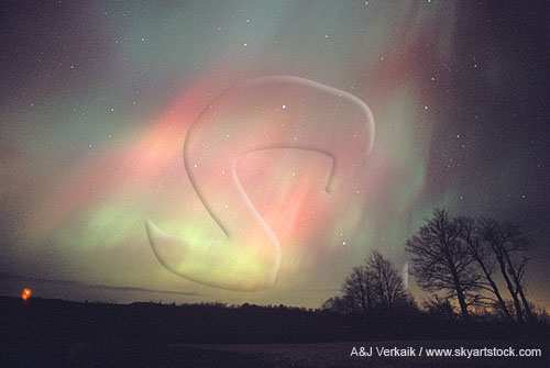 Ghostly patches of pink and green northern lights (Aurora Borealis)