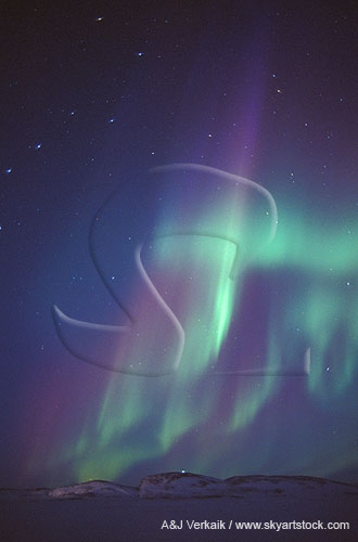 Northern lights (Aurora Borealis) in an arctic starry twilight