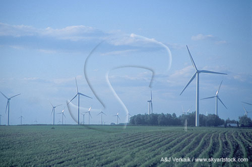 Wind farm in a farmer’s field