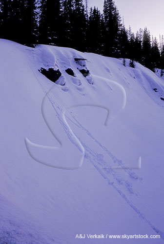 Snow rollers formed by gusts of wind on a slope
