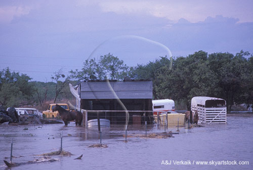 Flooding on farm with horses, trailers and shed