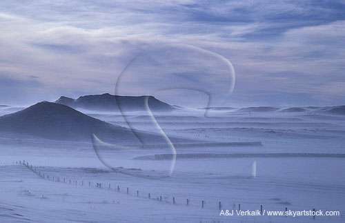 Blowing snow in blizzard over desolate landscape