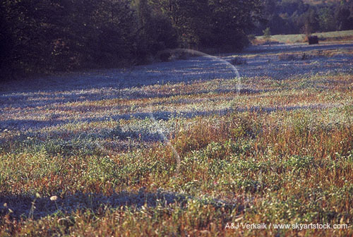 Ground frost remains in the shade but melts where the sun has shone