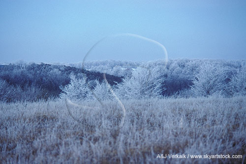 Frost (hoarfrost) coats everything in a magical wonderland