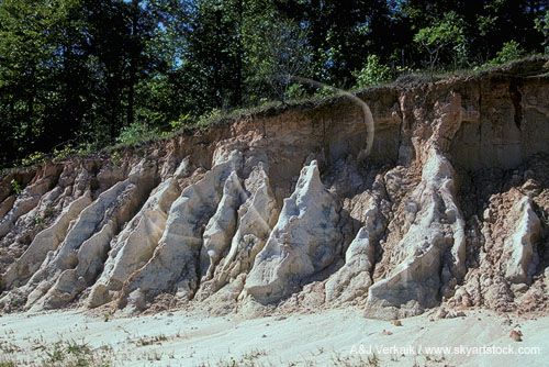 Deep crevices carved in a road embankment by erosion
