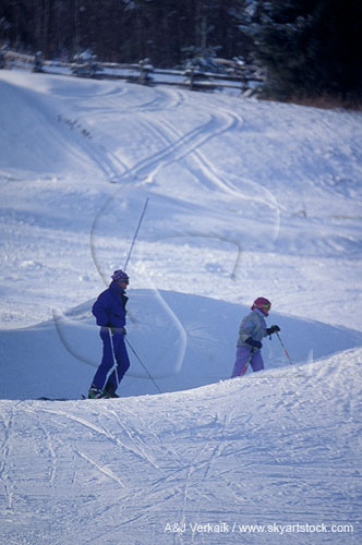 Skiers on a snow-covered ski slope