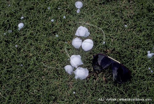 Golfball-sized hailstones on grass