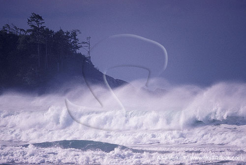 Gale-force wind creates a veil of heavy spray from whitecap waves