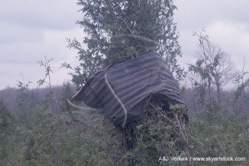 The twisted wreckage of metal sheeting due to tornado damage