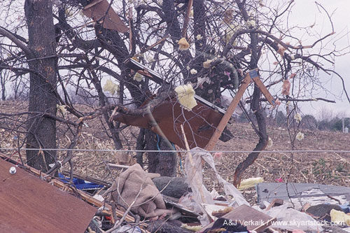 Household items hang in trees after a devastating tornado.