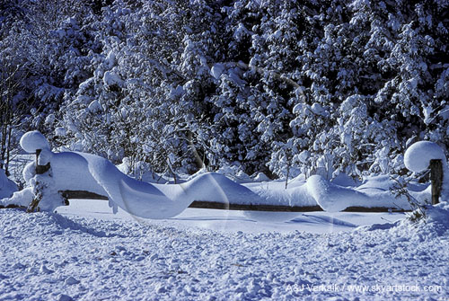 Thick snow garlands on a cedar rail fence defy gravity