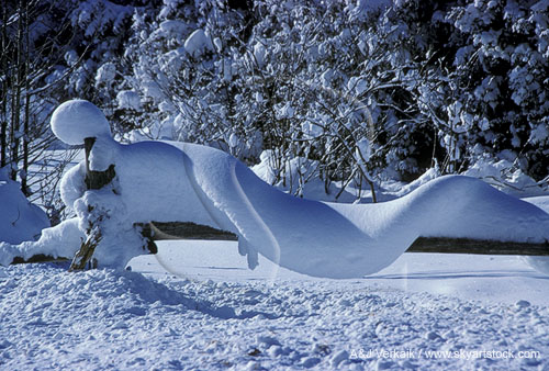 A close-up of a snow garland, sculpted and twisted by wind