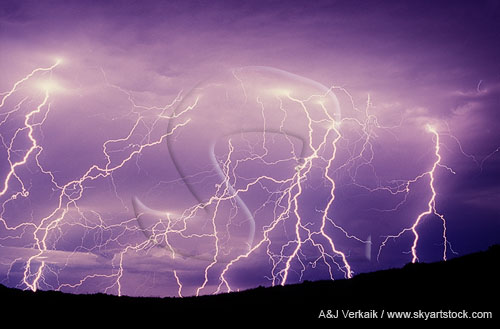 An intricate tracery of fine filaments in a barrage of lightning bolts