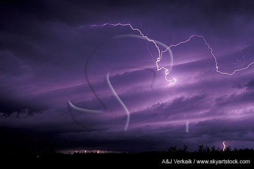 A menacing cloud-to-air lightning filament from a shelf cloud