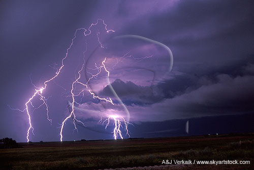Elegant cloud-to-ground lightning channels light up low clouds
