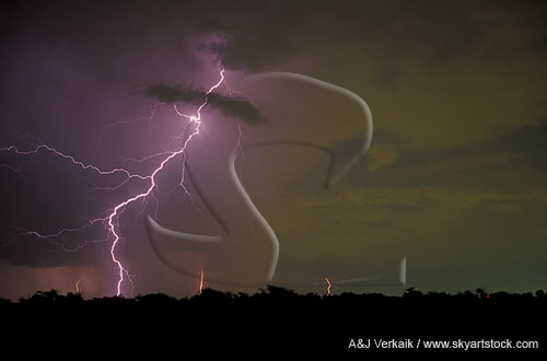 A single cloud-to-ground bolt strikes in an eerie twilight