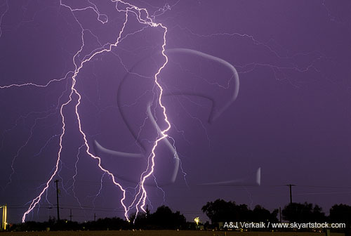 A tracery of fine filaments and jagged cloud-to-ground lightning bolts