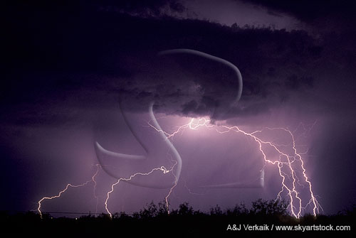 Cloud-to-ground lightning strikes with a rain curtain