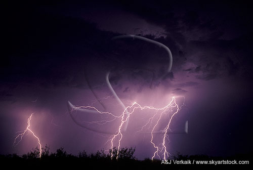 Cloud-to-ground lightning bolts under a dark cloud