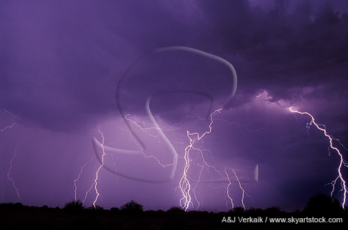 Elegant cloud-to-ground lightning bolts with fine filaments