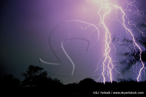 A mesh of fine filament on cloud-to-ground lightning bolts