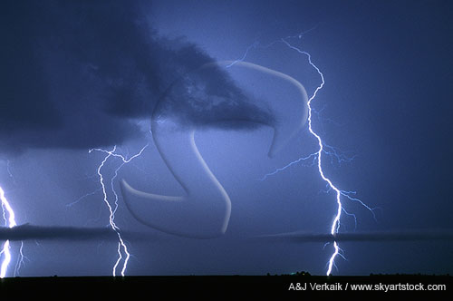 Finely etched cloud-to-ground lightning bolts marching forward