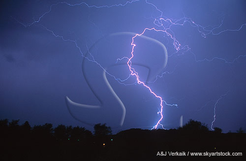 An elegant pink lightning bolt dances through the sky
