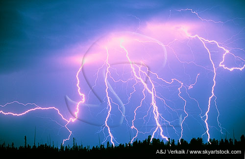 A barrage of bright and lightning strikes a forest