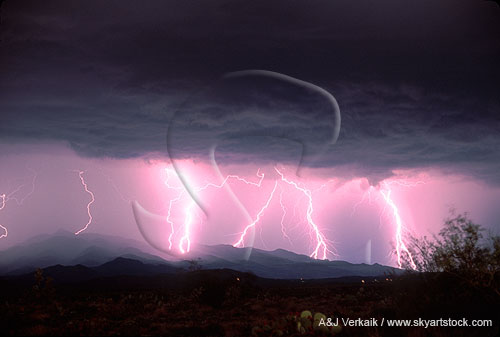 Highly electric multiple lightning bolts cast a pink glow