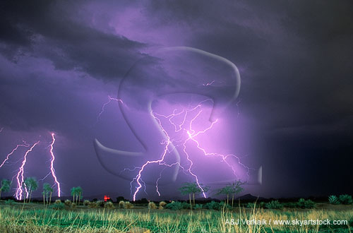 Energetic lightning bolts strike the desert under a stormy sky