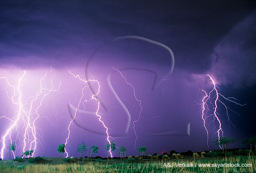 Multiple cloud-to-ground lightning bolts in a stormy sky