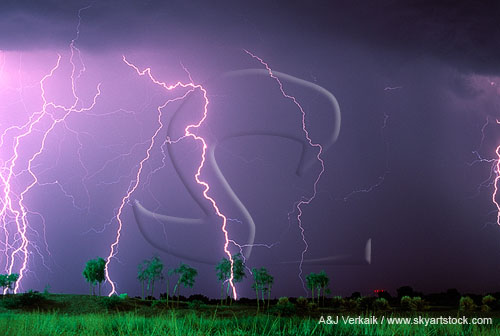 Cloud-to-ground lightning bolts with very fine filaments
