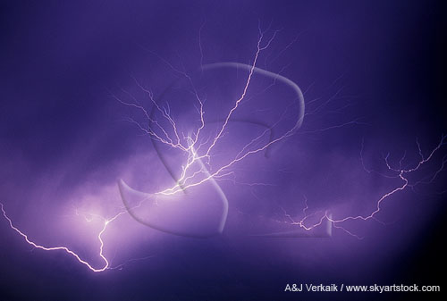 A joyous spray of cloud-to-air lightning flashes in a stormy sky