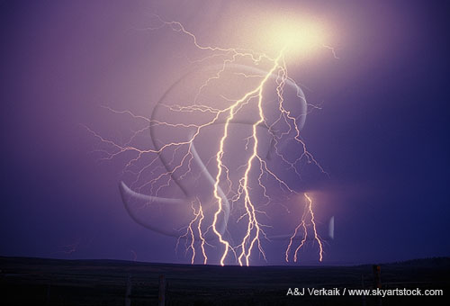 Finely branched cloud-to-ground lightning with forks