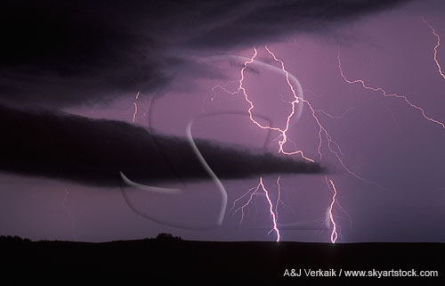 Finely etched lightning strikes with dark low clouds