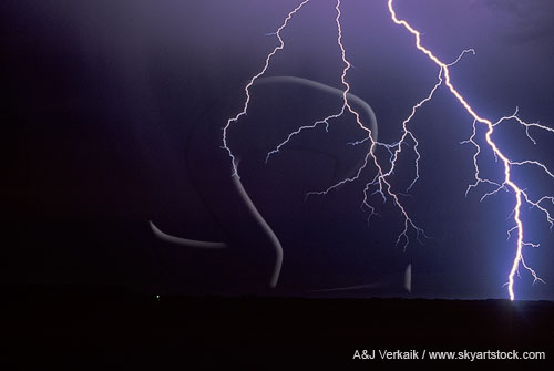 Close-up of a searing forked lightning bolt with long jagged branches.