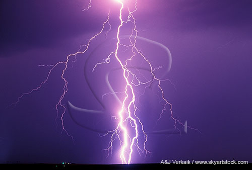 Zapped: close highly electric lightning with many forks and filaments