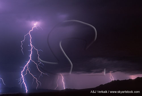 A cloud-to-ground lightning bolt with many branches and filaments