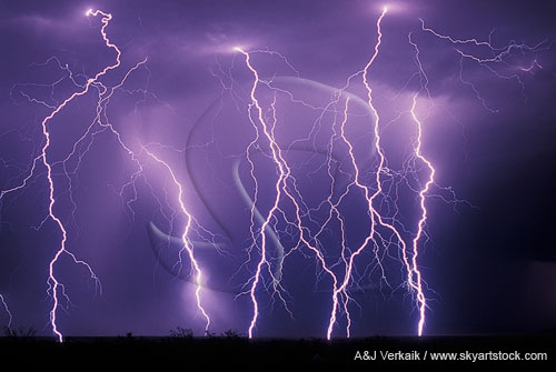 Blitz of brilliantly detailed finely branched lightning bolts