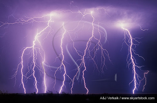 Highly electric display of finely detailed lightning strikes