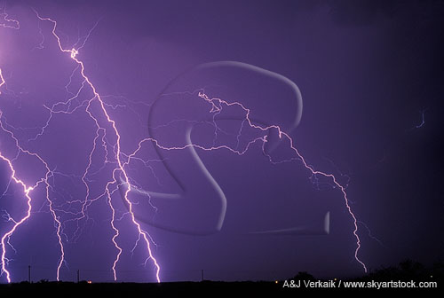 Delicate cloud-to-ground lightning with fine filament detail