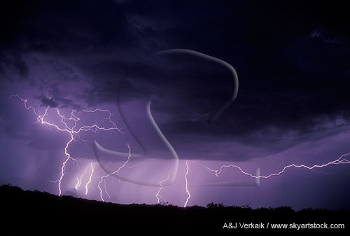 Fine filaments of cloud-to-ground lightning 
