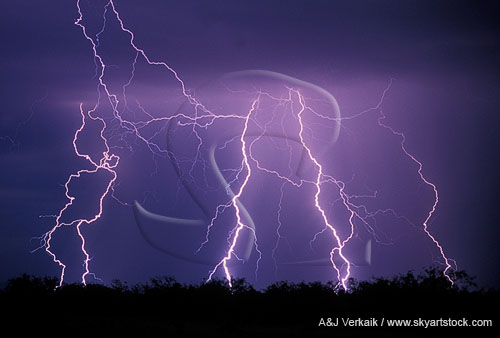 Meandering lightning bolts dancing in the dark