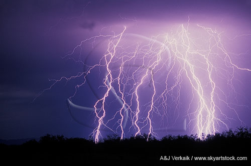 Very fine filament detail adorns a highly electric display of lightning