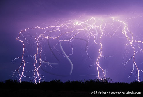 A huddled cluster of lightning bolts with fine filaments