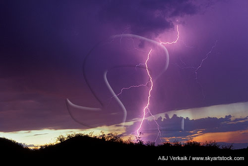 A single elegant lightning bolt adds brilliance to a colorful sunset